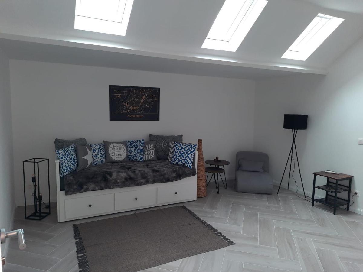 Suite City Center In Quiet Street & Airco Antwerpen Eksteriør bilde