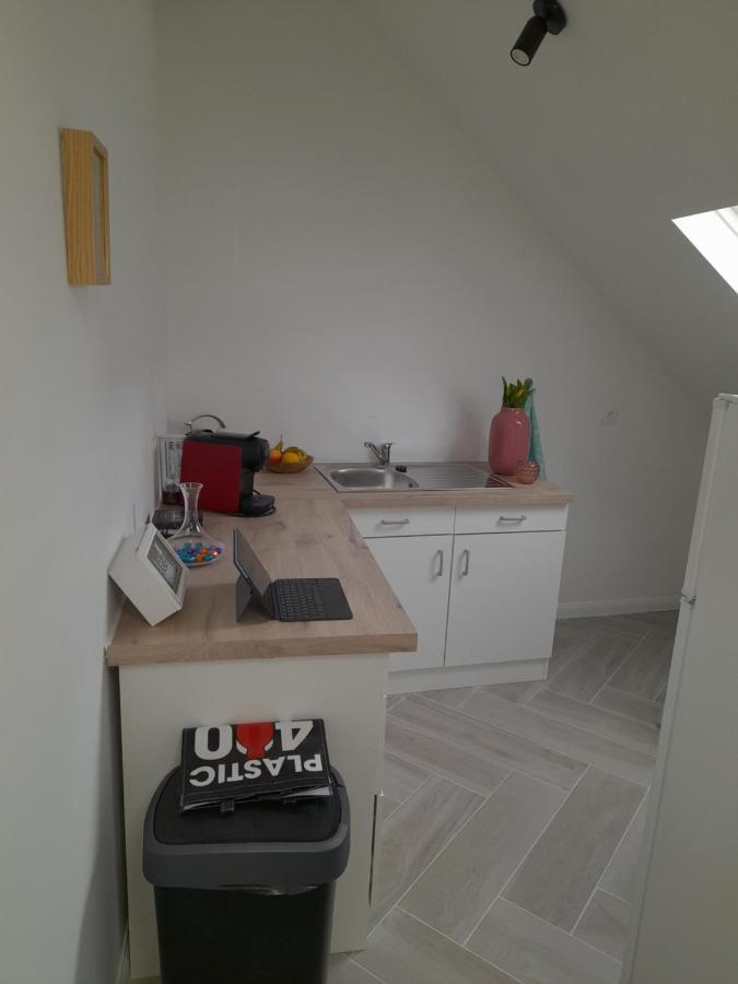 Suite City Center In Quiet Street & Airco Antwerpen Eksteriør bilde